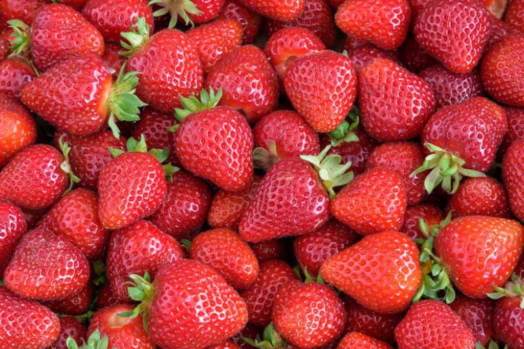 Strawberries — Sunnyside Nursery